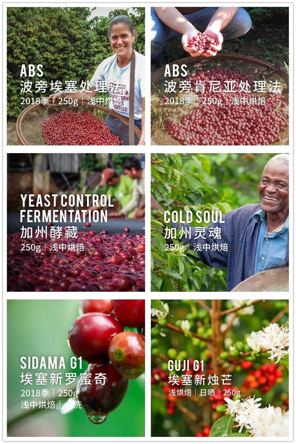 https://image.ipaiban.com/upload-ueditor-image-20191010-1570693481290056898.jpg