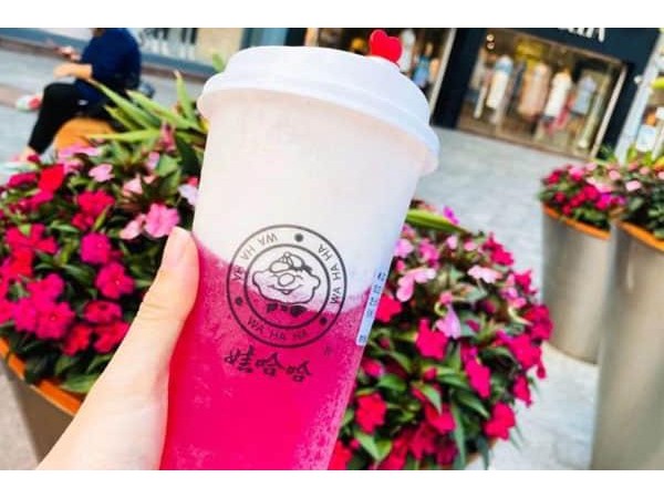 娃哈哈奶茶加盟費(fèi)用大概多少，加盟費(fèi)是元