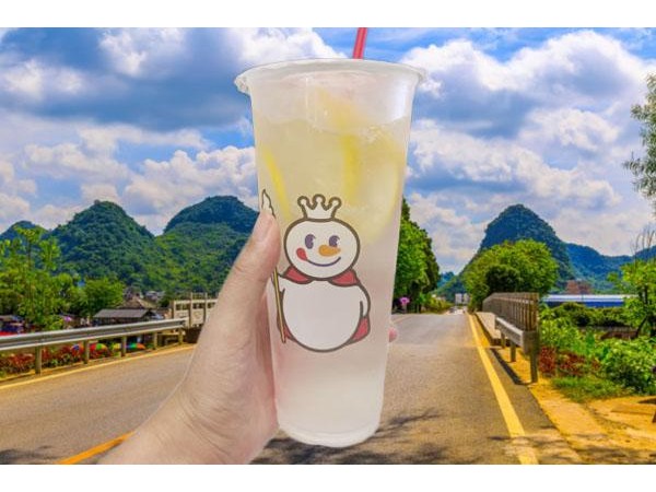 蜜雪冰城加盟費(fèi)一般多少錢，不同城市開店投資分析表