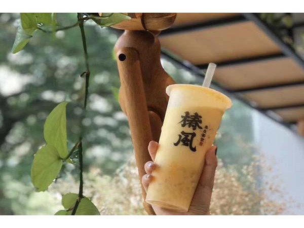 椿風(fēng)一般利潤有多少，丨優(yōu)勢多多