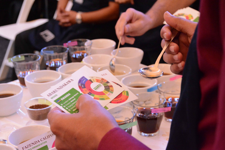 Sprudge-TastifyApp-EvanGilman-Tastify-cupping-in-Australia-2-740<em></em>x494.jpg