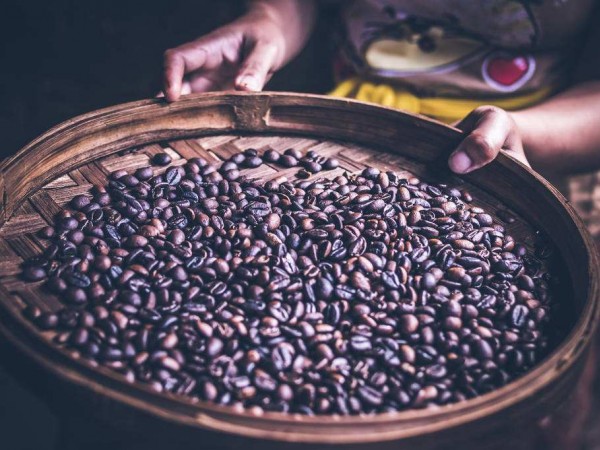 印度尼西亞咖啡消費(fèi)年增長36%，成全球增速最快的國家之一