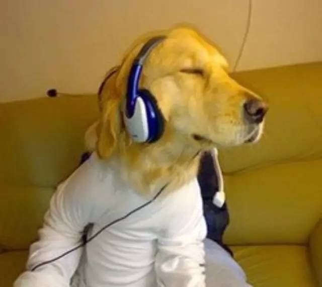 廣告宣傳靠自嗨，多少餐飲老板死于“高大上”！