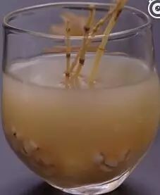 秋高氣燥，教你做一杯竹蔗馬蹄水