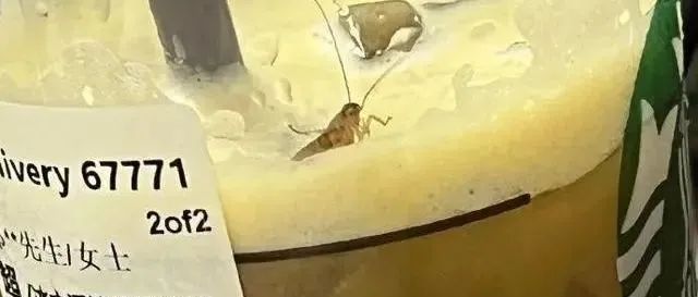 星巴克被曝喝出蟑螂 飲品店請(qǐng)注意“ ”這些抽查細(xì)節(jié)