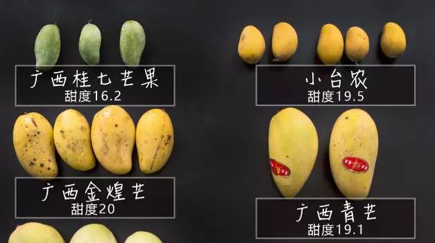 最全芒果測(cè)評(píng)： 個(gè)產(chǎn)地，個(gè)品種，告訴你哪種最好吃