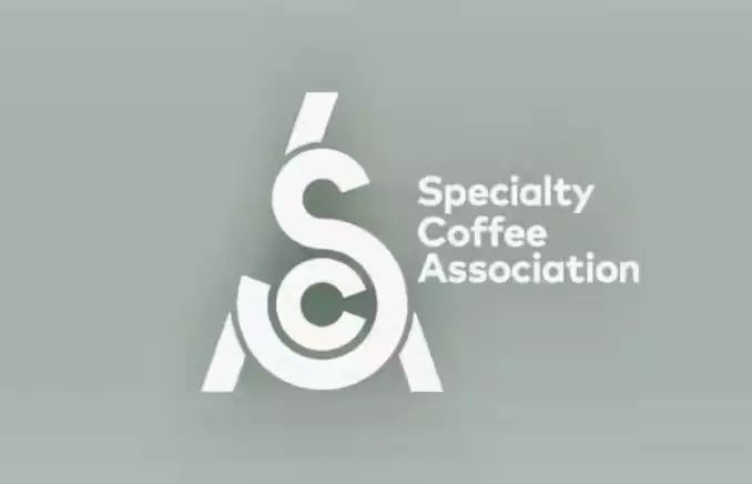 新精品咖啡協(xié)會(huì)SCA誕生，你會(huì)再追“考證潮”嗎？