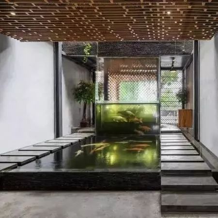 這里有家名叫“錦鯉”的咖啡館，讓你一邊看魚一邊喝咖啡
