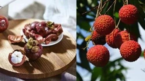今年山竹、荔枝做果茶挺火 我們也試做了 款產(chǎn)品