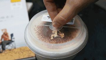 這個(gè)杯蓋據(jù)說會(huì)掀起模仿風(fēng)潮！不信半年后見