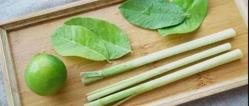 用香水檸檬、香茅做茶飲不好喝 問(wèn)題可能出在原料上