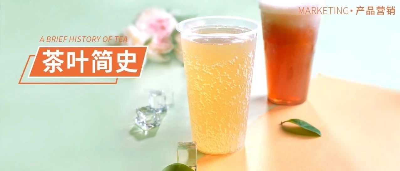 經(jīng)典回歸！可以喝的泡沫熱飲，成本只要塊左右