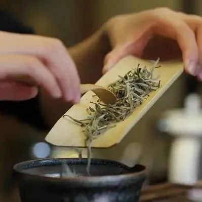 你的奶茶店泡茶總是不香 茶葉被廠家掉包了？