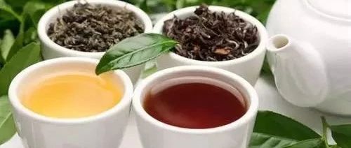 烏龍系列茶怎樣泡最好？來看行業(yè)研發(fā)大師的泡茶法（文末有配方）