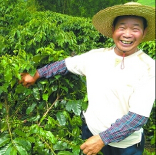 【行業(yè)資訊】廣東自產(chǎn)咖啡？來(lái)嘗嘗味道