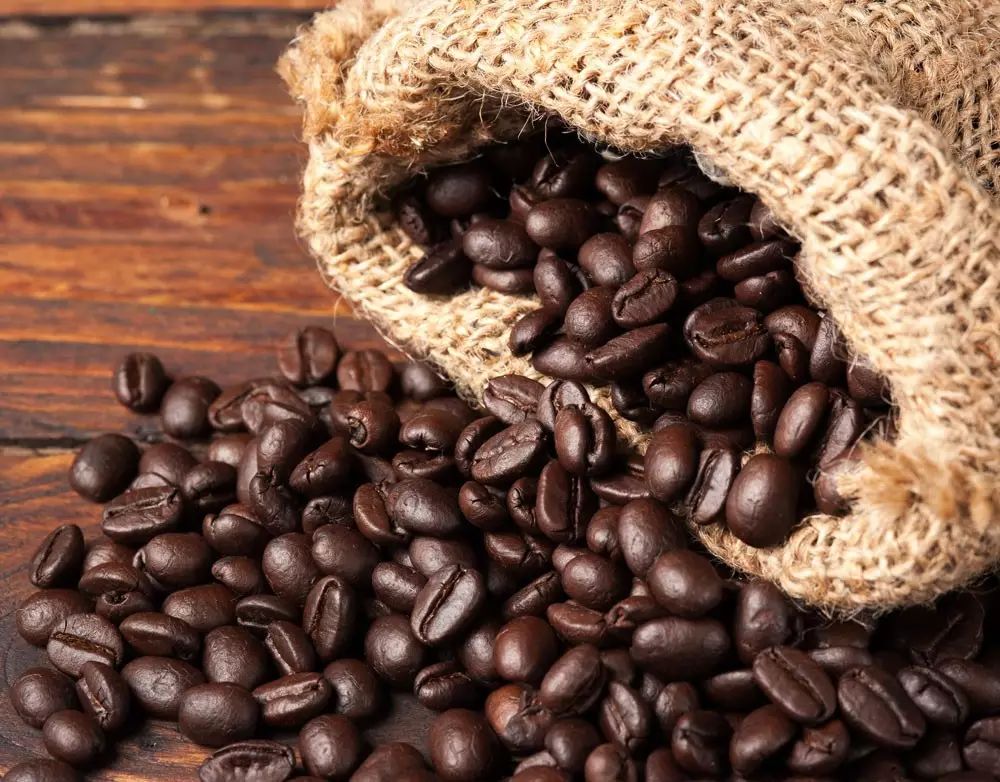 關于養(yǎng)豆，你不知道的那些事兒