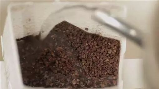 濾掛式咖啡恐致癌？