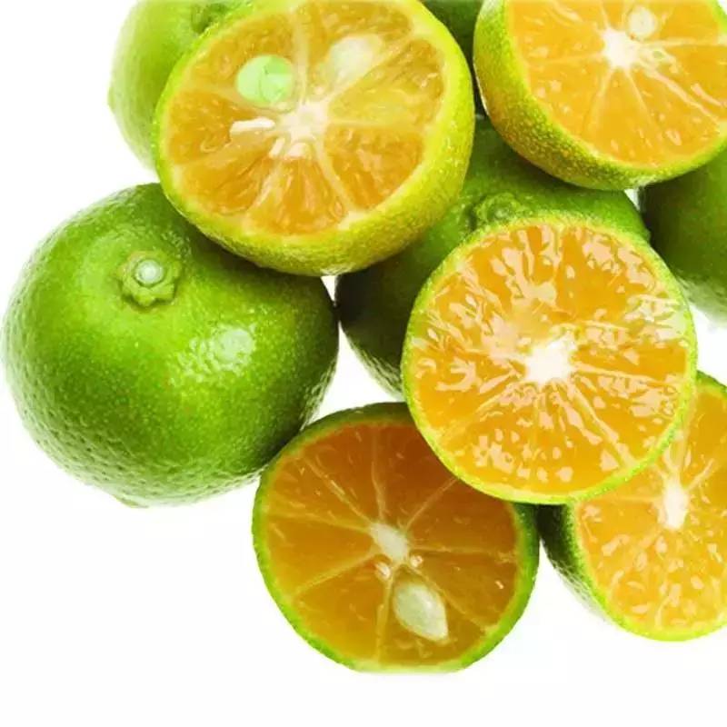 青檸價格暴漲倍  一杯成本增加 毛錢