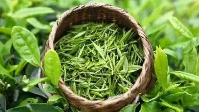 “茶不好喝，我嫁給你！”沖毀三觀的淘寶體茶葉神文案！