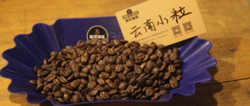 【前街咖啡尋豆記】云南小?？Х鹊膶ｎ}報告！