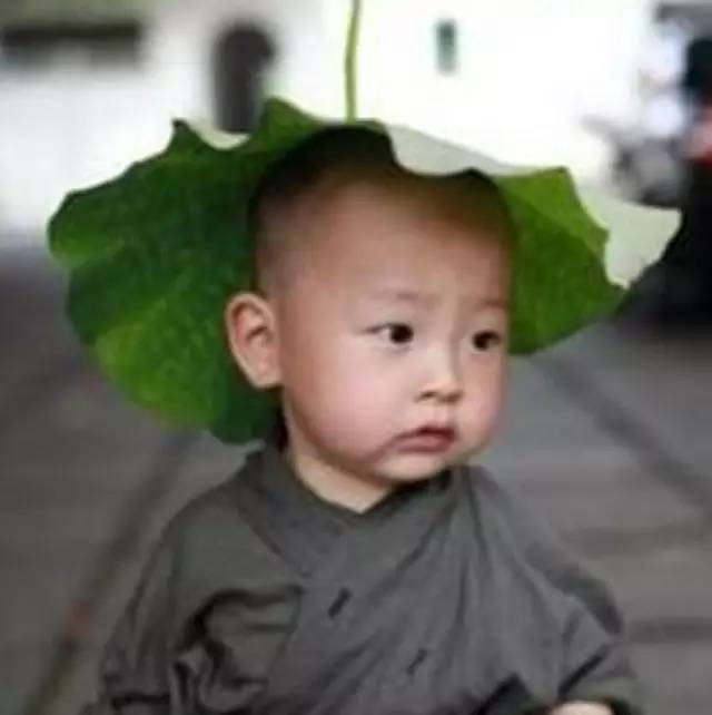 武術(shù)冠軍做飲品，在創(chuàng)意中修生養(yǎng)性