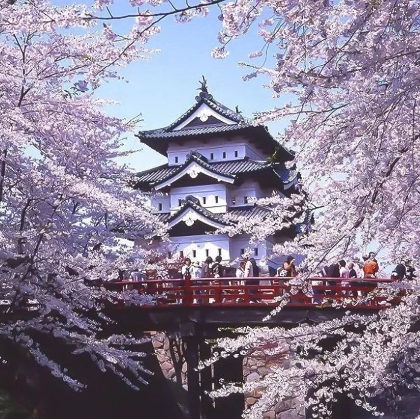 櫻花季，這些大品牌組團販賣“春天”！