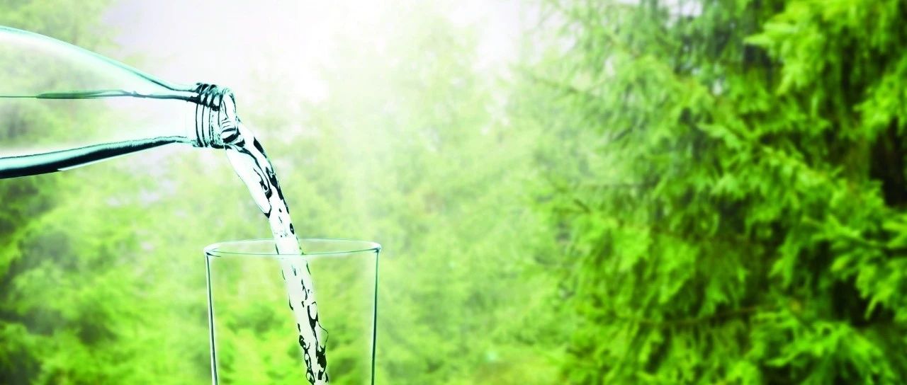 用哪種水沖煮咖啡最好？| 科普好文