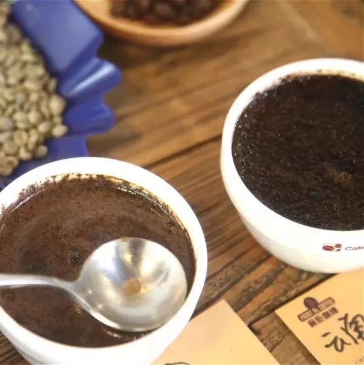 云南保山小粒指的是卡蒂姆還是鐵皮卡呢？它倆有啥區(qū)別？