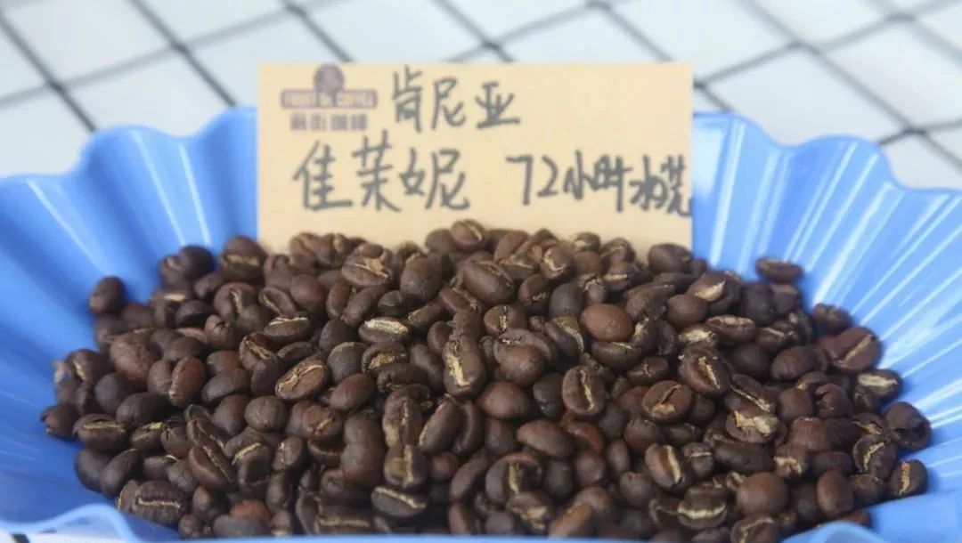 【肯尼亞 佳茉妮】專題報告 橙子香的肯尼亞咖啡