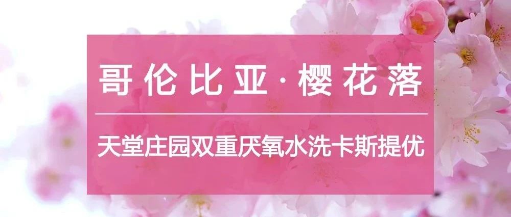 天堂莊園"櫻花落"來了，第份半價速度入手！