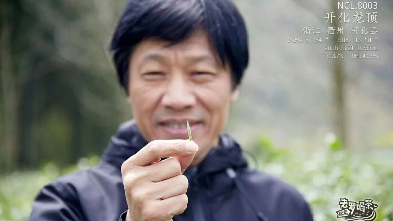 茶界勞模羅軍：我要一年給你 款茶！| 跟著老羅喝茶