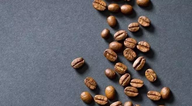商業(yè)豆的特性及烘焙表現(xiàn) | 咖啡工房研習(xí)課室