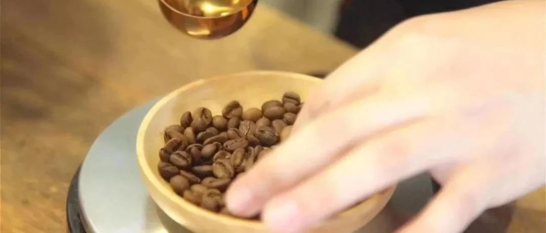 瑕疵豆的世界 | 熟豆里的瑕疵豆有哪些？