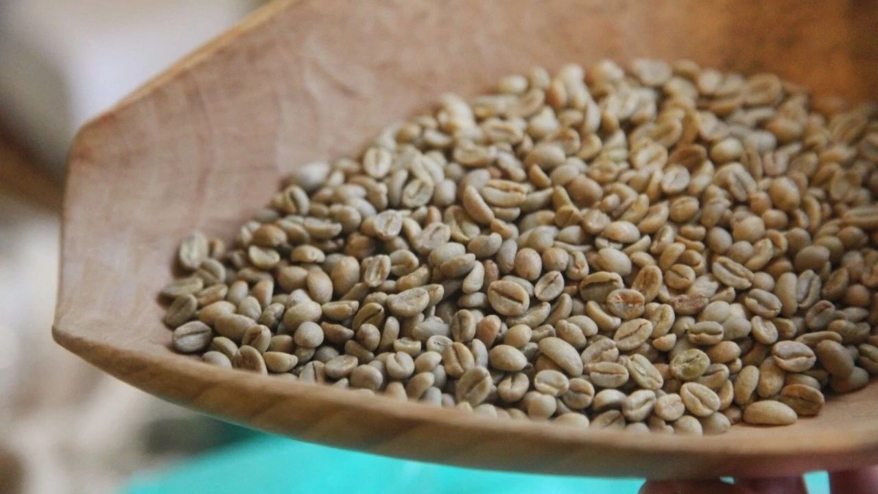 前街教你做咖啡|新鮮咖啡的重要意義--生豆篇