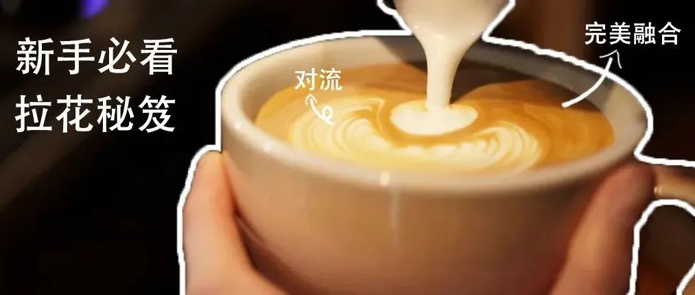 給新手的拉花指南～從零開始學(xué)習(xí)咖啡拉花