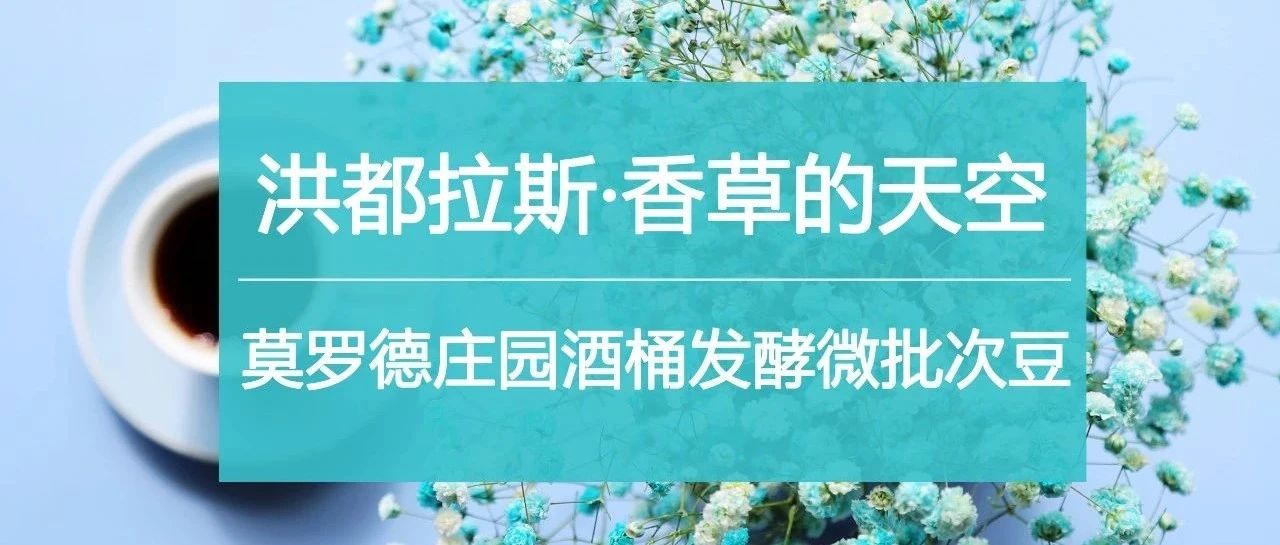 愛喝荔枝蘭的你，別錯過洪都拉斯新豆！