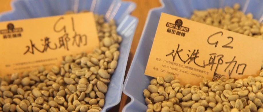 【前街咖啡師手記】不同等級的水洗耶加有什么區(qū)別？水洗耶加G、G對比