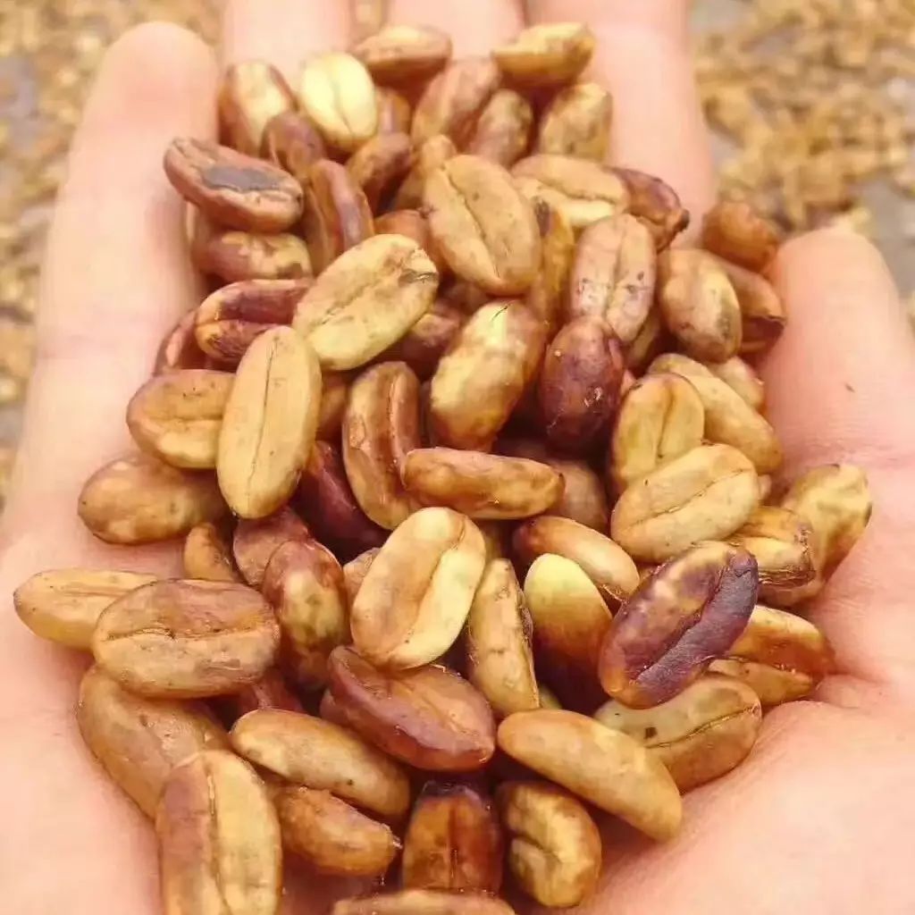 【干貨】處理法 | 葡萄干處理法、橙蜜處理法、二氧化碳酵母法？