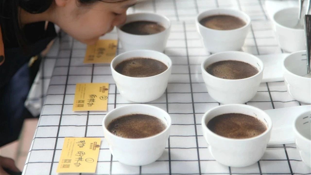 深度剖析--咖啡里面的花香，你能分辨出來(lái)嗎？