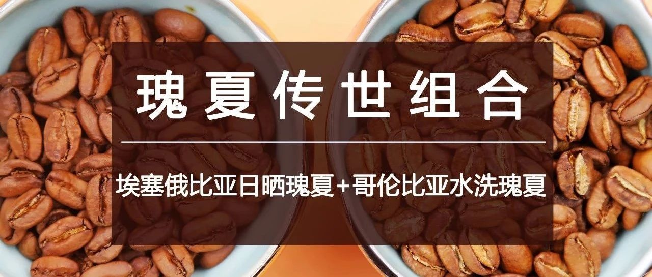 瑰夏咖啡組合特惠，啡常誘惑您別錯(cuò)過 :)