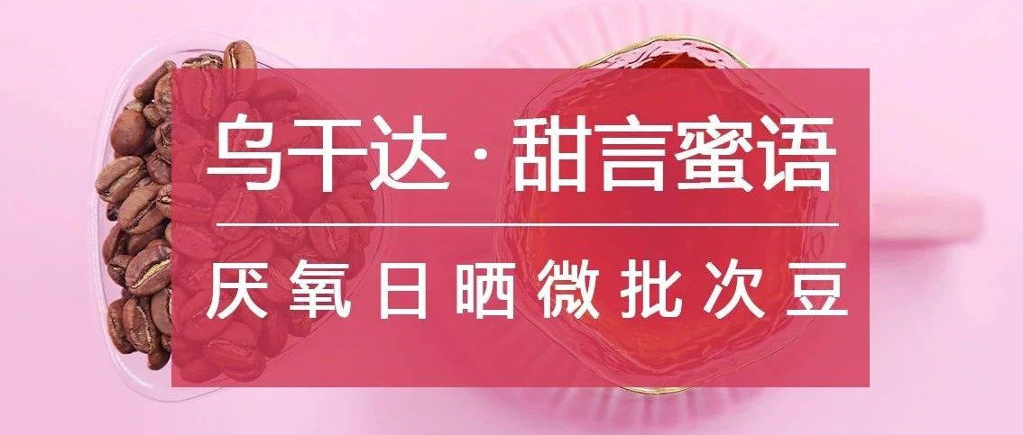 . 折入手烏干達(dá)甜蜜好豆（月底特惠，僅在今天）
