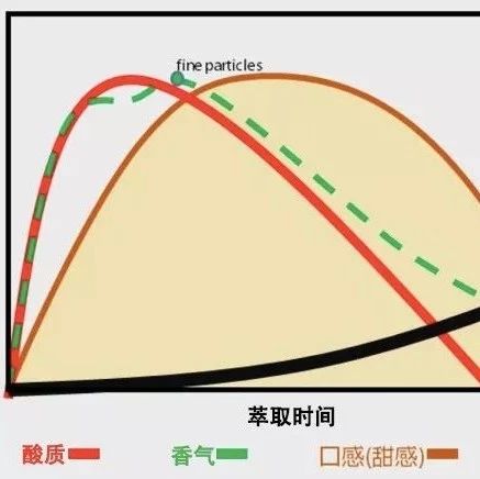 【手沖技巧】影響咖啡沖煮的關(guān)鍵因素：萃取時(shí)間