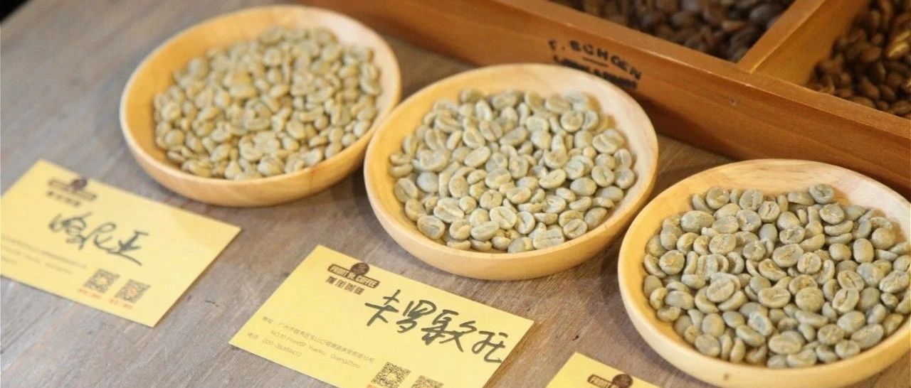 肯尼亞 |卡羅歌托 VS 阿薩莉亞 VS 哈尼亞，哪個(gè)好喝？