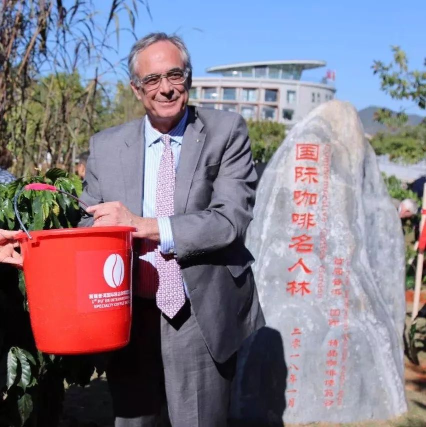 國(guó)際咖啡名人在普洱種下咖啡樹(shù)與希望