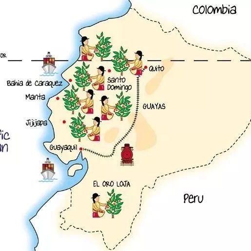 哥倫比亞 | 考卡卓越杯 VS 唐納德，不同烘焙方式的區(qū)別？