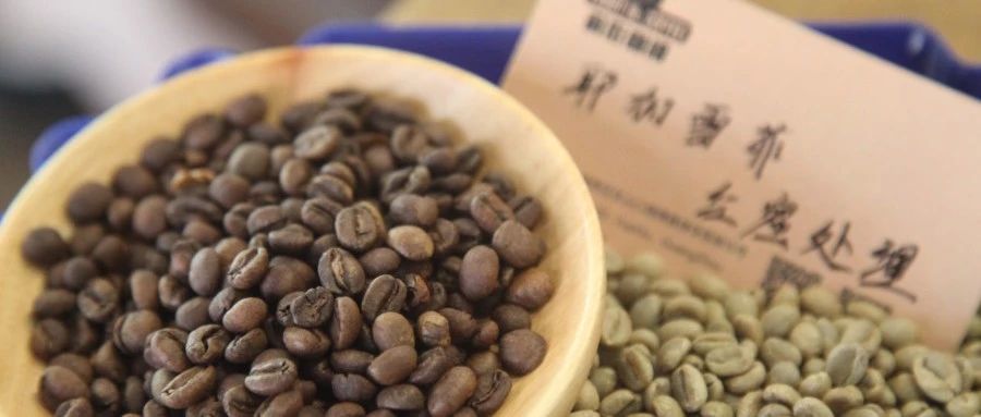 【前街尋豆手記】耶加雪菲紅蜜處理紅櫻桃咖啡專題報(bào)告