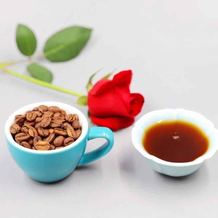 周末有好豆 | 這杯 分的綠頂瑰夏，你喝過嗎？