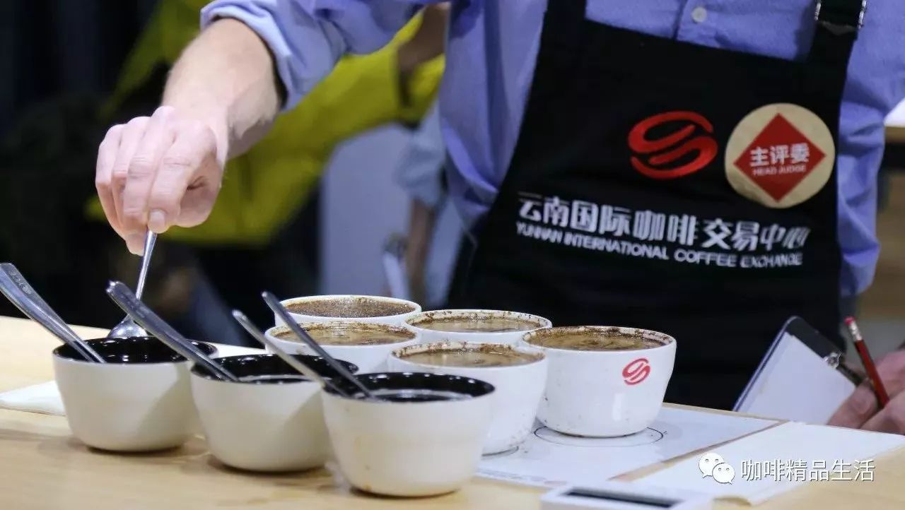 咖啡生豆賽怎么比？這條微信帶你看懂！