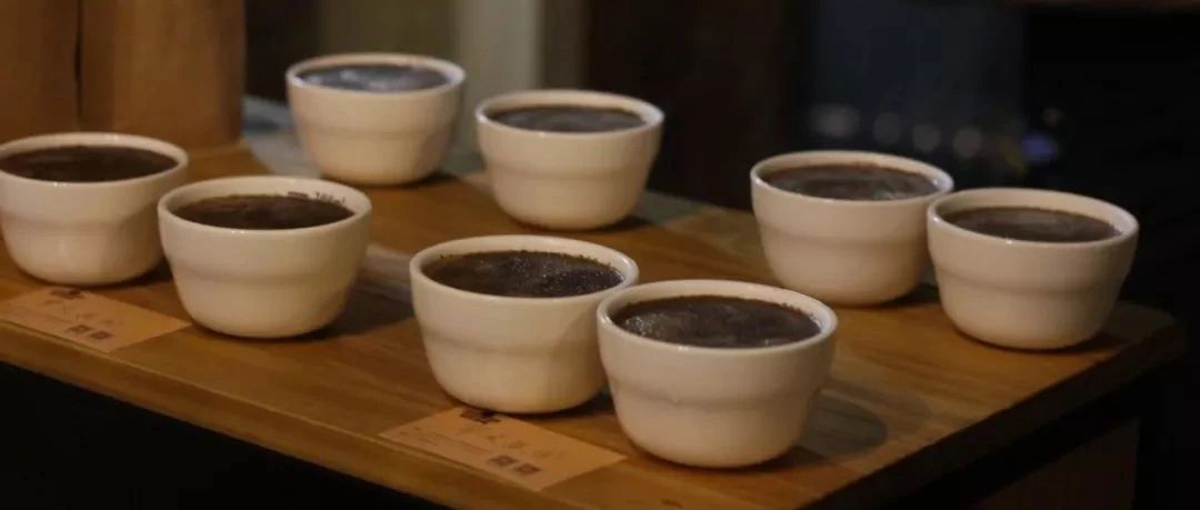【前街尋豆手記】酸甜感明顯的水果茶——罕貝拉布庫(kù)~