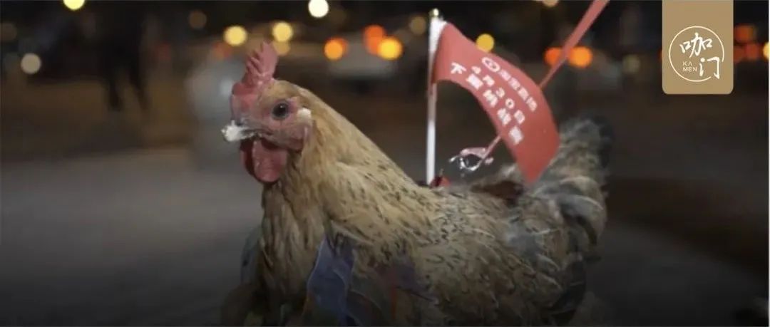 連雞都派上場，這些店發(fā)傳單的姿勢也太絕了